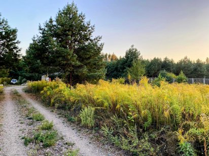 Продаж кутової ділянки 10.5 соток прям біля лісу в с.Ясногородка Ясногородка