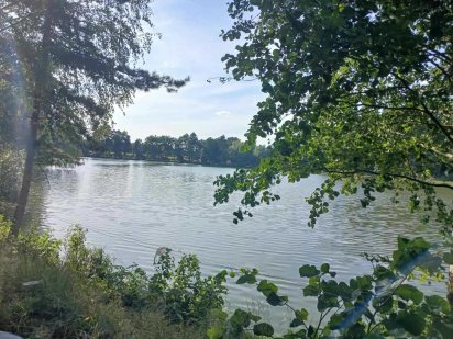 Продаж земельної ділянки с. Шпитьки, Київська обл,