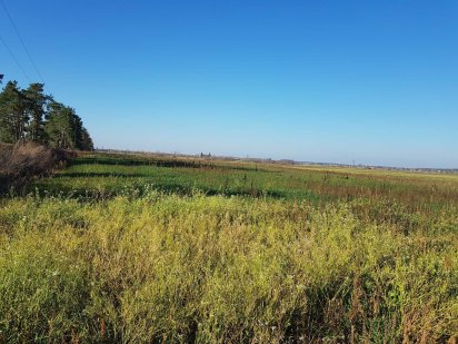 Продаю зем участок 5га 18км от Киева