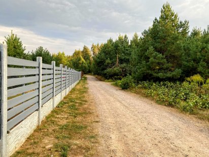 Кутова (подвійна) ділянка серед соснового лісу! 1000 за сотку