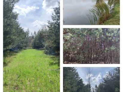 Продам Земельный Участок 6 соток, с.Ясногородка, 30кмКиев