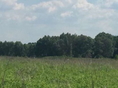 Продам участок в с Юровка 16соток.