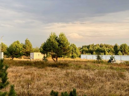 Кутова ділянка 10 сот у сосновому лісі / 900 ДОЛ ЗА СОТКУ