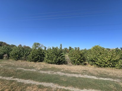 Земля під забудову або як готовий бізнес. Мала Виска