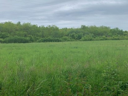 Продам приватизовану земельну ділянку 0.3 Га Мала Виска