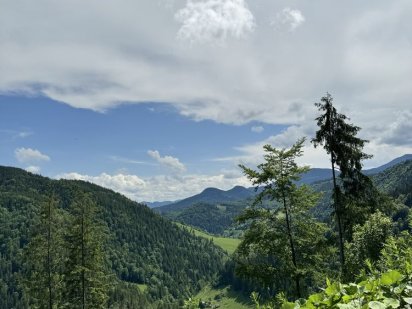 ЕКСКЛЮЗИВНА земельна ділянка площею 300 сот. Подгайцы