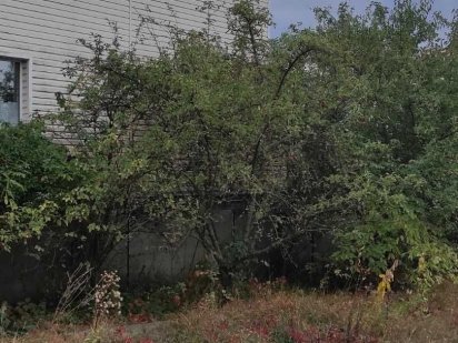 Продаж земельної ділянки. Підгайці