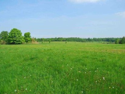 Продам земельну ділянку в Підгайцях