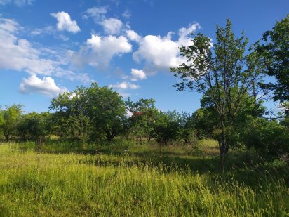 Продам  приватизовану ділянку 9 соток Чигиринське