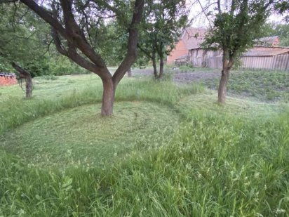 Земельна ділянка під будивництво Вільне