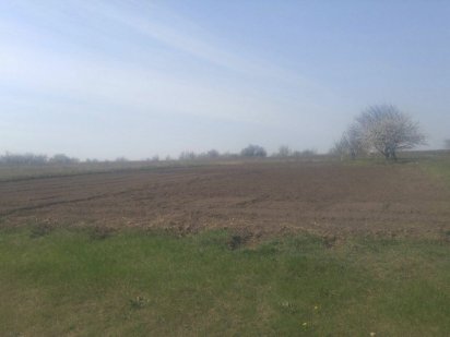 Земельна ділянка в селі Бережинка Бережинка