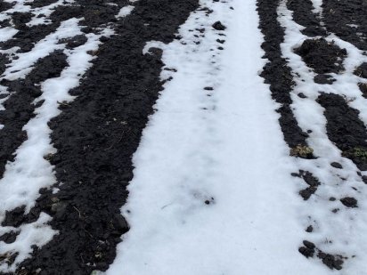 Продаж земельної ділянки Сокільники