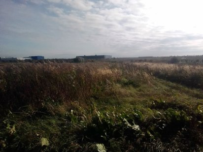 Земельна ділянка с.Сокільники 66сот Сокольники