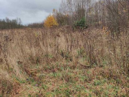 Продаж ділянки під котеджі с.Сокільники біля Riviera City Park Сокольники