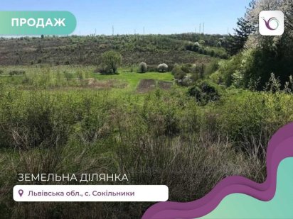 Дачна ділянка Сокільники Сокольники
