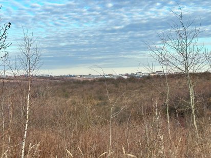 Земельна ділянка Солонка 231 сотих Солонка