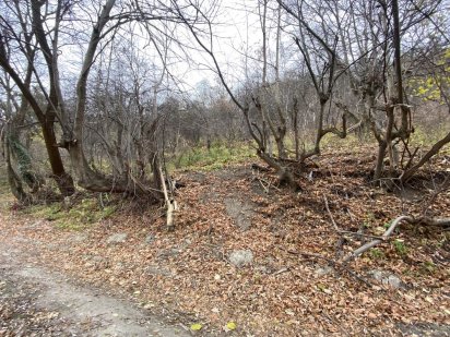 Земельна ділянка у Винниках Винники