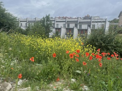 Продаж ділянки під забудову Солонка  бічна Коновальця! Солонка