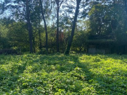 План 10 сотих Брюховичі Брюховичи