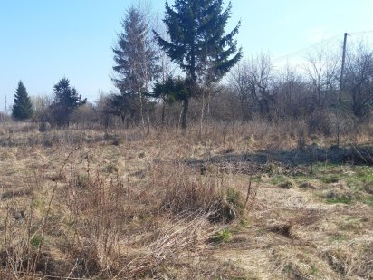 Земельні ділянки. Солонка.