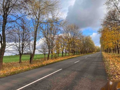 Продаж земельної ділянки, Солонка