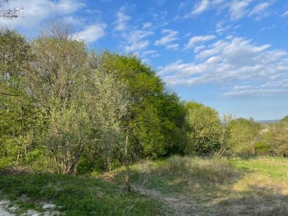 Продаж земельної ділянки в смт. Брюховичі Брюховичи