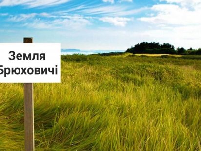 Земельна ділянка під забудову Брюховичі Брюховичі