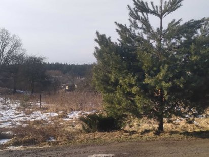 Продаж земельної ділянки.