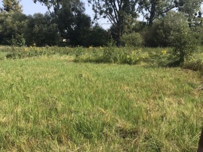 Продам земельну ділянку в Рудно.Старе Рудно Рудное