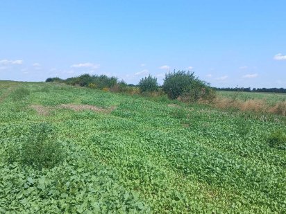 Продаж землі сільськогосподарського призначення