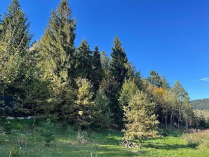 Пропоную на продаж комерційну ділянку в смт. Східниця Сходница