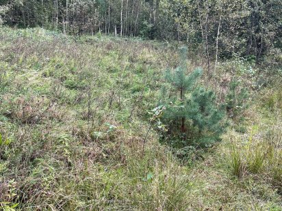 Земельна ділянка житлової забудови, площею 1,1380 га, Львівська обл Сходница