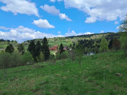 Земельна ділянка у Східниці Сходница