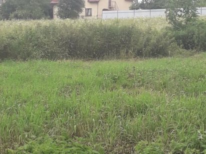 Земельна ділянка в селі Зубра Зубра