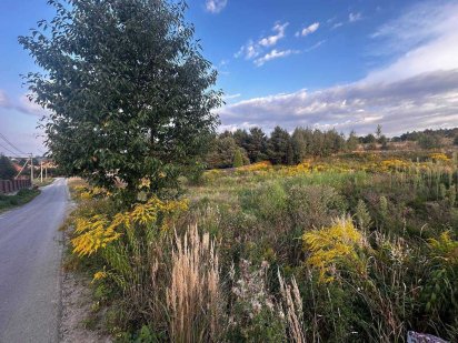 Продаж землі 10соток Львів Зубра