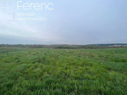 Продаж земельної ділянки в с. Зубра