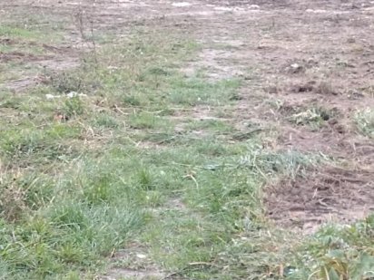 Земельна ділянка  у Зимна Вода під забудову чи комерцію в'їзд у Львів Зимна Вода