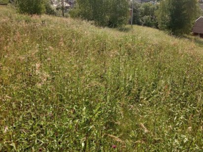 Продаж земельної ділянки