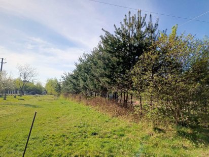 земельна ділянка Зимна Вода 25ар Зимняя Вода