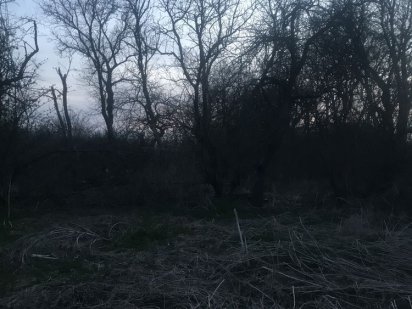 Земельна ділянка Городок