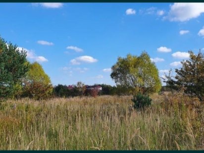 Земельна ділянка Зимна вода Зимняя Вода
