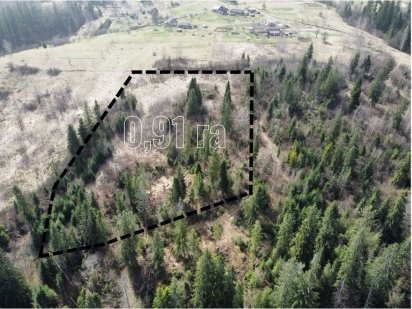 Земля в Славську 0,91 га С/Г Славское