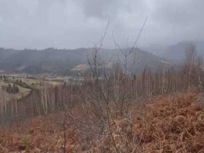 Продаж земельної ділянки с. Славське