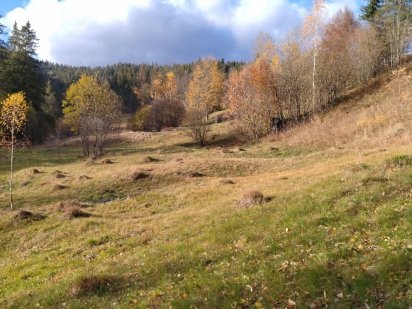 Земельна ділянка