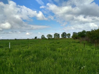 Земельна ділянка під садівництво, Городок
