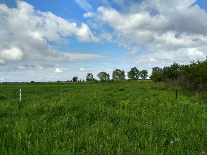 Земельна ділянка під садівництво, Городок - фото 1