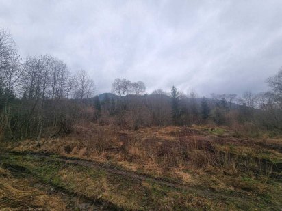 Продаж земельної ділянки с. Славське