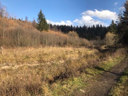 земельна ділянка смт СЛАВСЬКЕ Славское