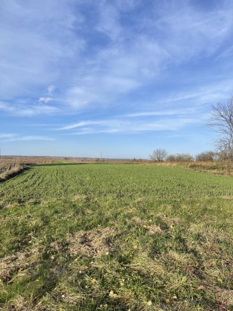 Земельна ділянка с. Зушиці Городоцького р-н, Львівська обл - фото 1