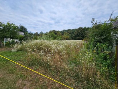 Продається земельна ділянка поблизу м. Моршин...